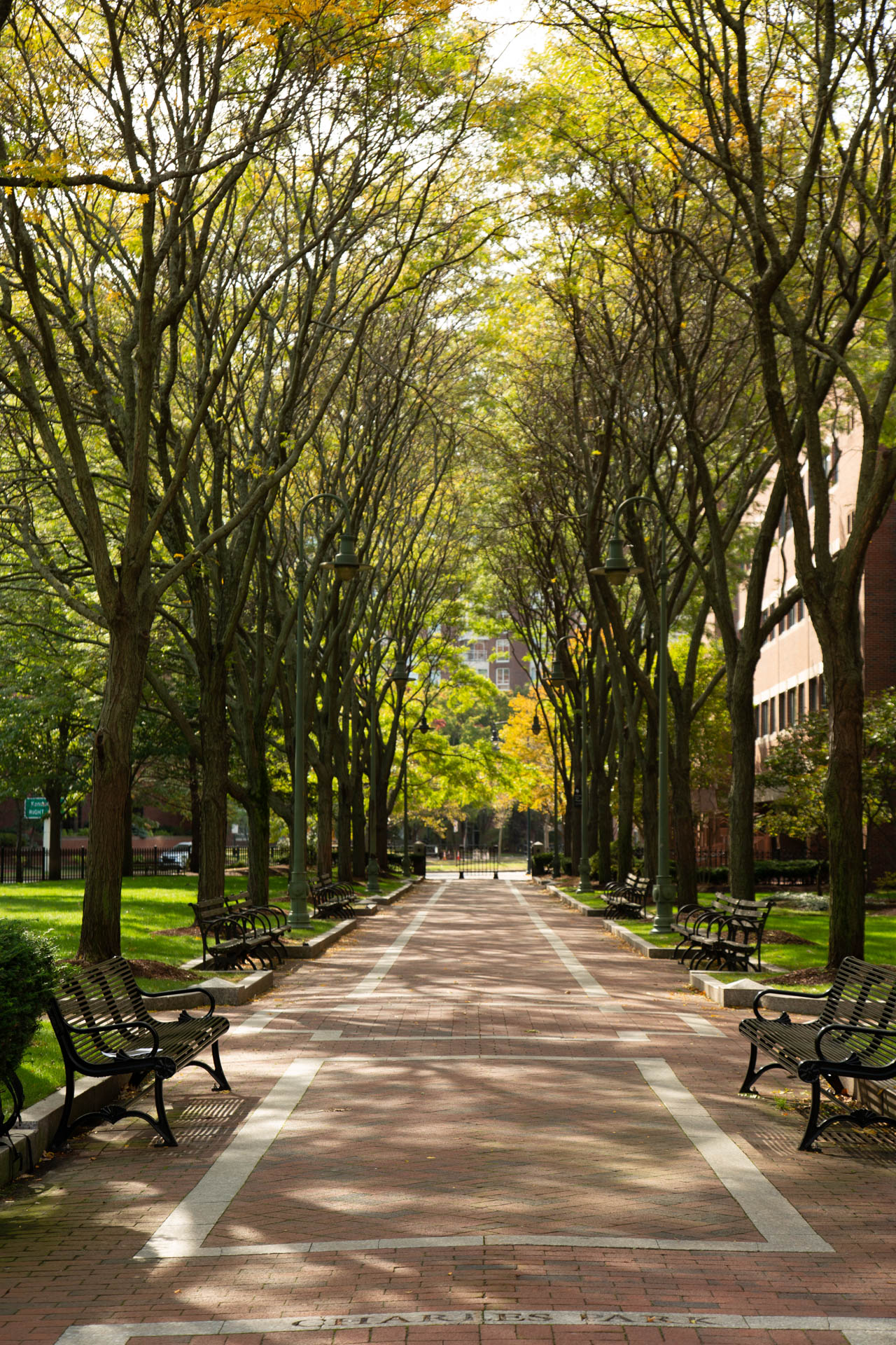 Luxury Apartments for Rent in Kendall Square East Cambridge