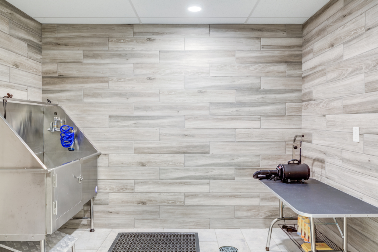 Luxury Apartments for Rent in Kendall Square East Cambridge