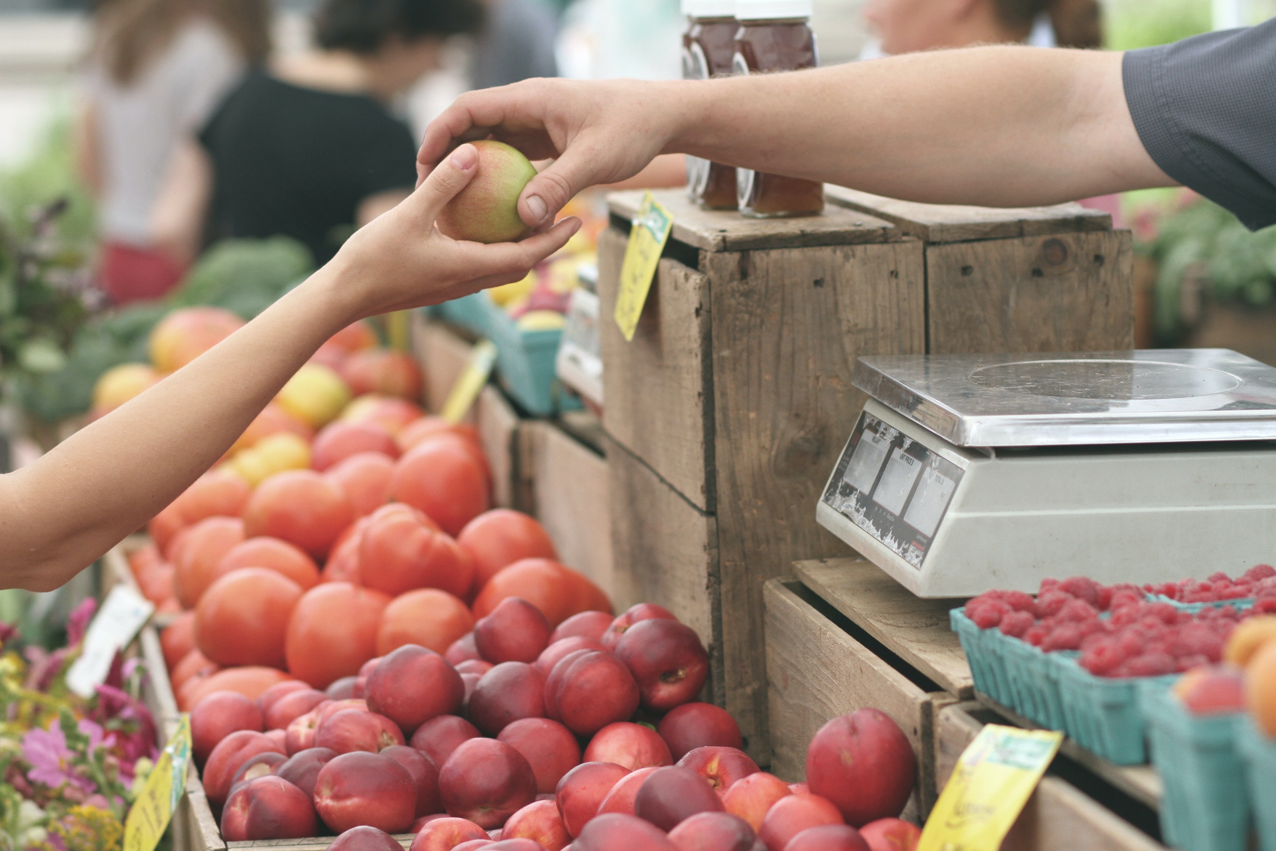 Shop at Cambridge's Central Square Farmers Market